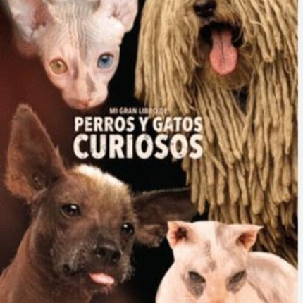 MI GRAN LIBRO DE PERROS Y GATOS CURIOSOS | AUTORES VARIOS