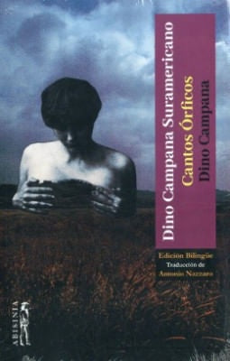 DINO CAMPANA SURAMERICANO | DINO CAMPANA