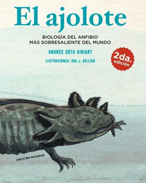 EL AJOLOTE | ANDRES COTA HIRIART