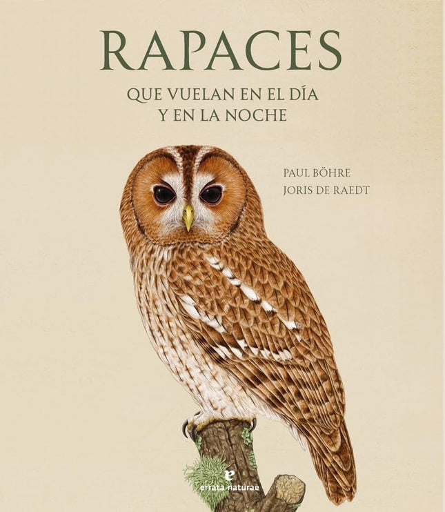RAPACES QUE VUELAN EN EL DIA Y EN LA NOCHE | PAUL BOHRE