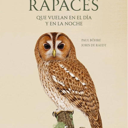 RAPACES QUE VUELAN EN EL DIA Y EN LA NOCHE | PAUL BOHRE