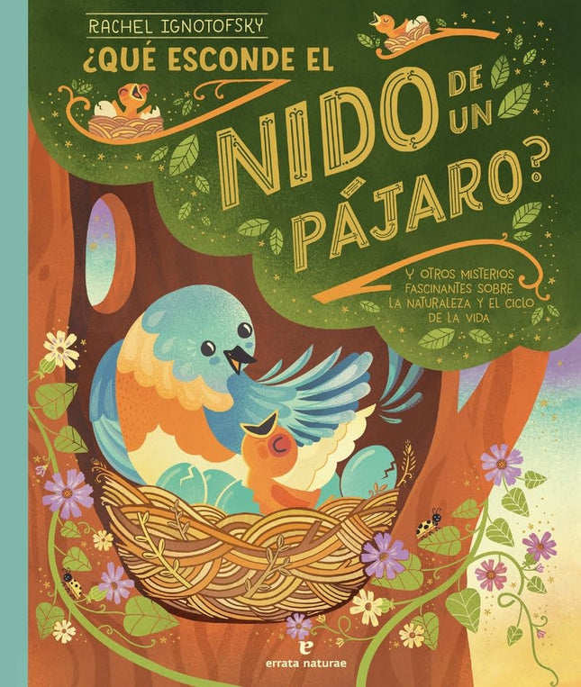 QUE ESCONDE EL NIDO DE UN PAJARO? | RACHEL IGNOTOFSKY