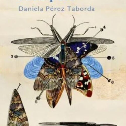 ESCALPELO | DANIELA PEREZ TABORDA