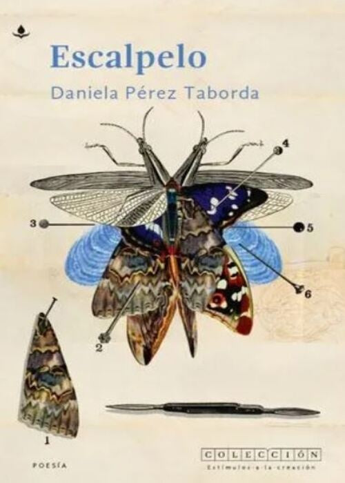 ESCALPELO | DANIELA PEREZ TABORDA