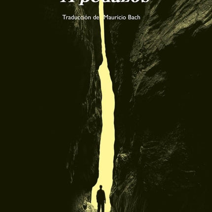 A PEDAZOS | HANIF KUREISHI