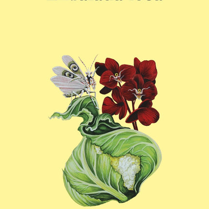 ENSALADA LOCA | NORA EPHRON