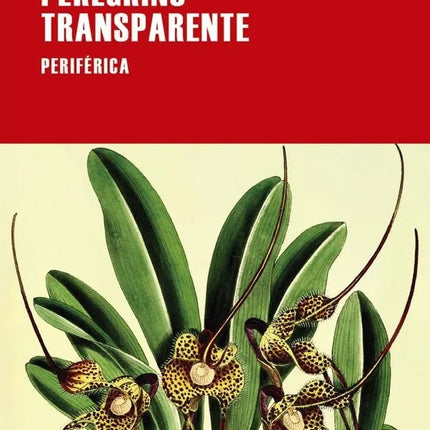 PEREGRINO TRANSPARENTE | JUAN CARDENAS