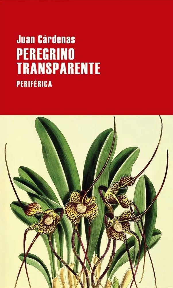 PEREGRINO TRANSPARENTE | JUAN CARDENAS