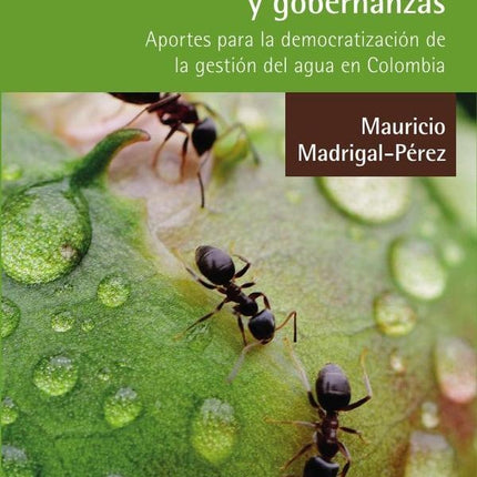 AGUA, DERECHOS HUMANOS Y GOBERNANZAS | MAURICIO MADRIGAL PEREZ