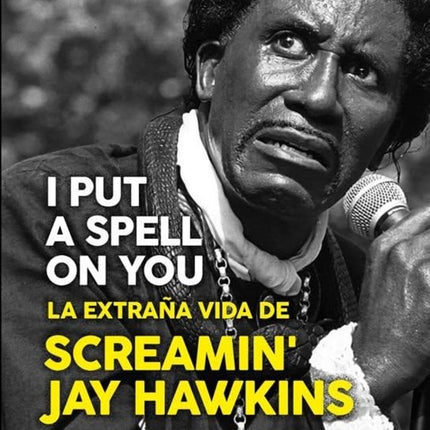 I PUT A SPELL ON YOU | STEVE BERGSMAN