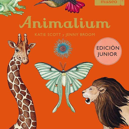 ANIMALIUM (ED. JUNIOR) | KATIE SCOTT