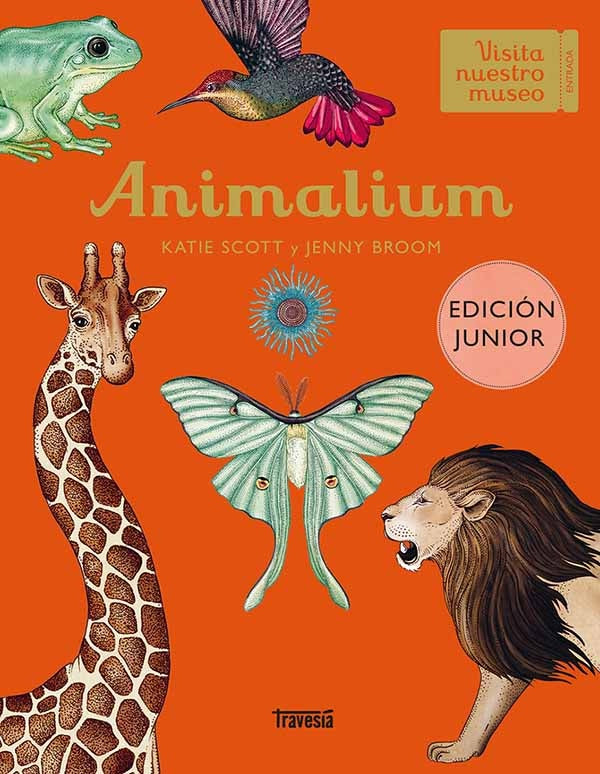 ANIMALIUM (ED. JUNIOR) | KATIE SCOTT