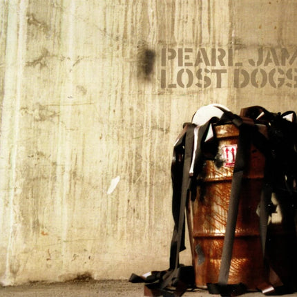 LOST DOGS | PEARL JAM