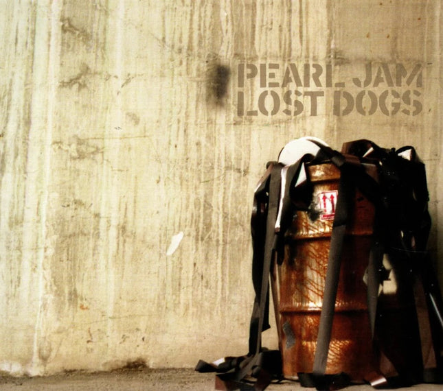 LOST DOGS | PEARL JAM