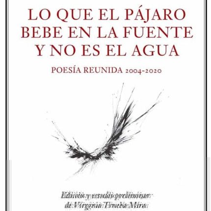 LO QUE EL PAJARO BEBE EN LA FUENTE Y NO ES EL AGUA | CHANTAL MAILLARD