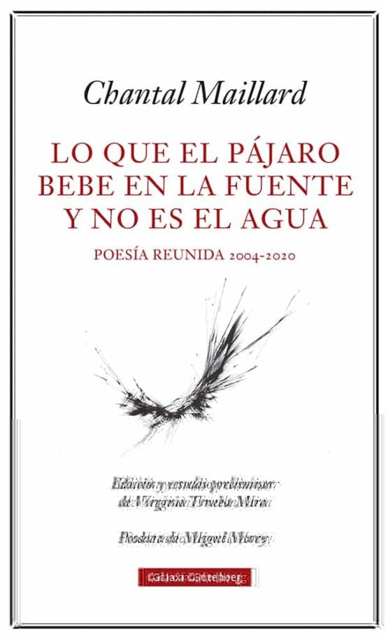 LO QUE EL PAJARO BEBE EN LA FUENTE Y NO ES EL AGUA | CHANTAL MAILLARD