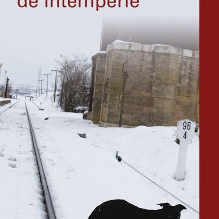 CAMINOS DE INTEMPERIE | RAMON ANDRES