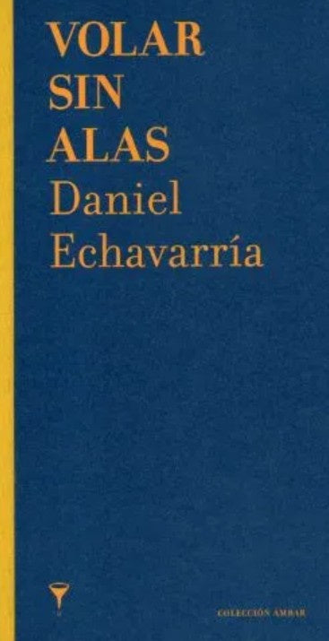 VOLAR SIN ALAS | DANIEL ECHAVARRIA