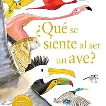 QUE SE SIENTE AL SER UN AVE? | TIM BIRKHEAD