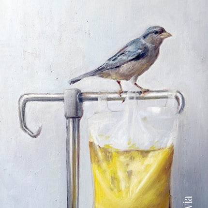 AMARILLA | MARTA SANZ