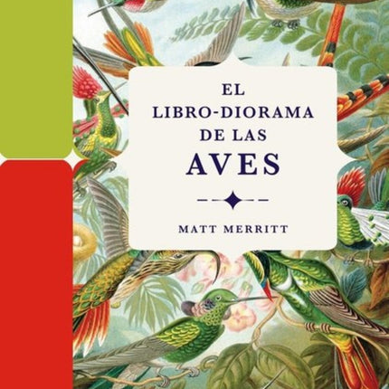 EL LIBRO-DIORAMA DE LAS AVES | MATT MERRITT