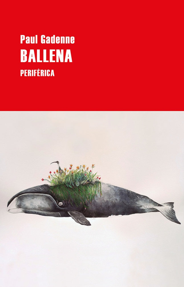 BALLENA | PAUL GADENNE