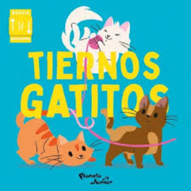 TIERNOS GATITOS | AUTORES VARIOS