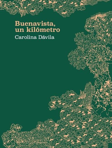 BUENAVISTA, UN KILOMETRO | CAROLINA DAVILA
