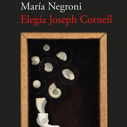 ELEGIA JOSEPH CORNELL | MARIA NEGRONI