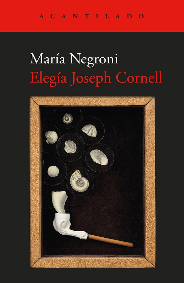 ELEGIA JOSEPH CORNELL | MARIA NEGRONI