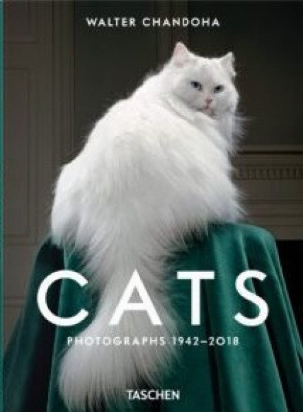 CATS PHOTOGRAPHS 1942-2018 | WALTER CHANDOHA