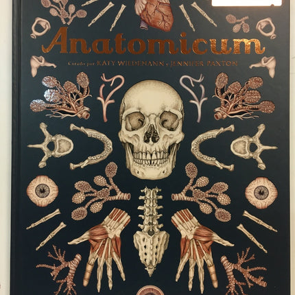 ANATOMICUN | KATY WIEDEMANN