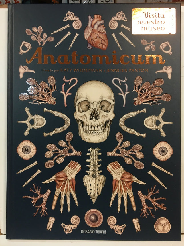ANATOMICUN | KATY WIEDEMANN