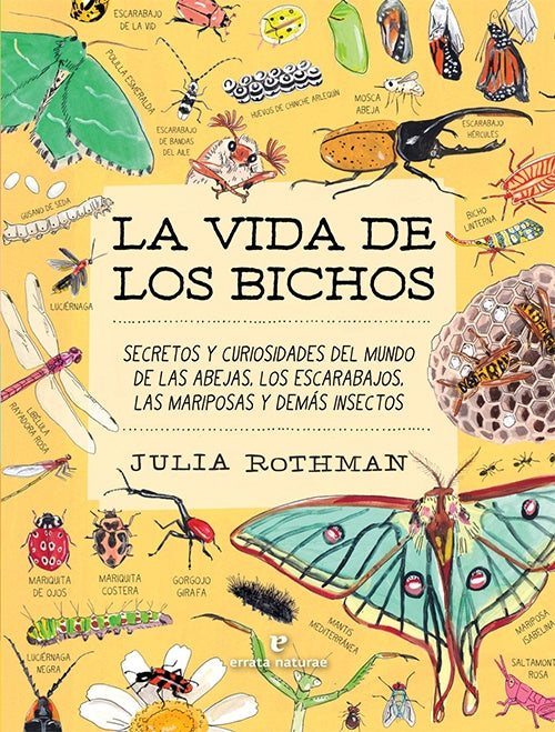 LA VIDA DE LOS BICHOS | JULIA ROTHMAN