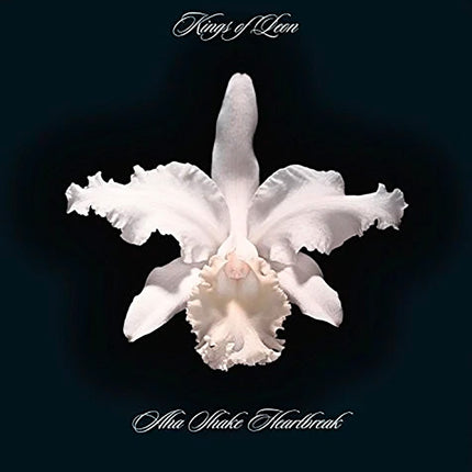 AHA SHAKE HEARTBREAK | KINGS OF LEON