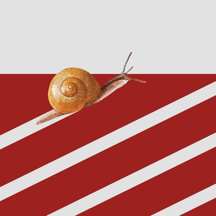 HONG | GONZALO MAIER