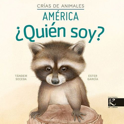 AMERICA ¿QUIEN SOY? | TANDEM SECEDA