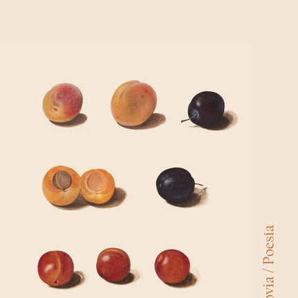 CORRIGE LOS NOMBRES | FRUELA FERNANDEZ