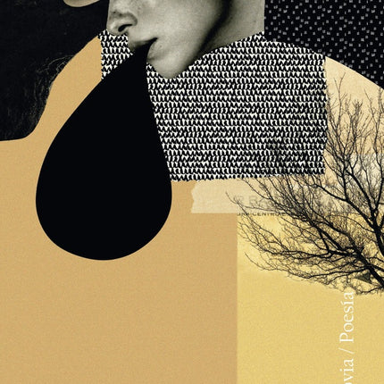 FRASES FRAGILES, LAS | EMILIA PARDO BAZAN
