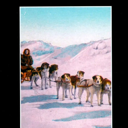 THE CALL OF THE WILD | JACK LONDON