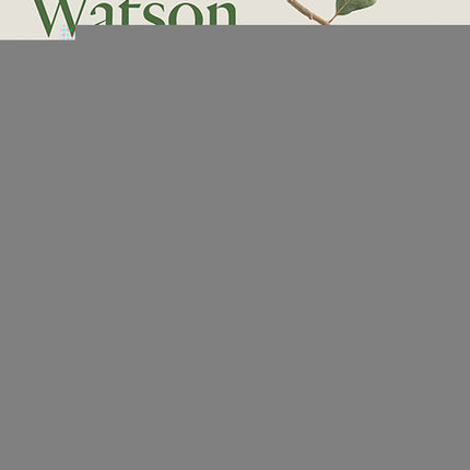 IDEAS | PETER WATSON