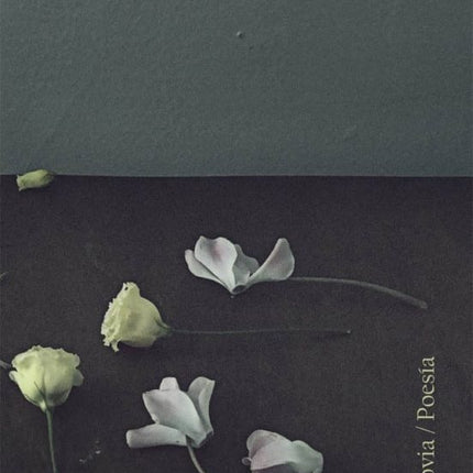 CUADERNO DE CAMPO | MARIA SANCHEZ