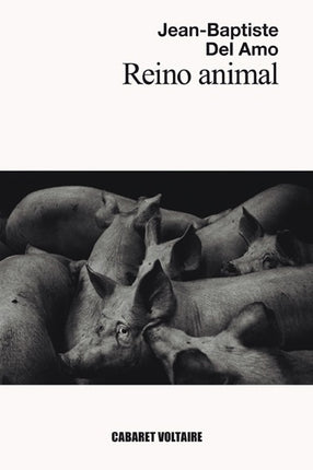 REINO ANIMAL | VARIOS