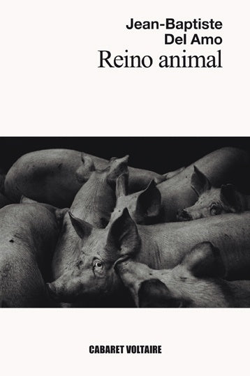 REINO ANIMAL | VARIOS