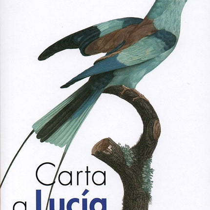 CARTA A LUCIA | MERY YOLANDA SANCHEZ