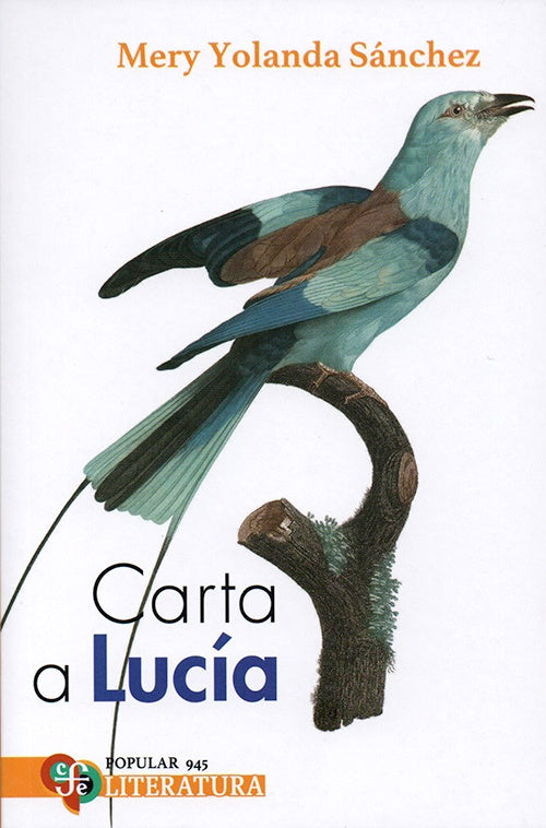 CARTA A LUCIA | MERY YOLANDA SANCHEZ