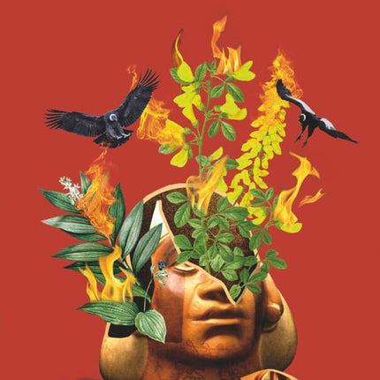 HUACO RETRATO | GABRIELA WIENER
