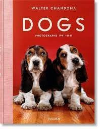 DOGS | WALTER CHANDOHA