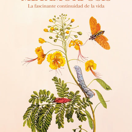 METAMORFOSIS | EMANUELE COCCIA