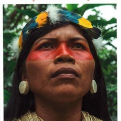 Collection image for: HISTORIA